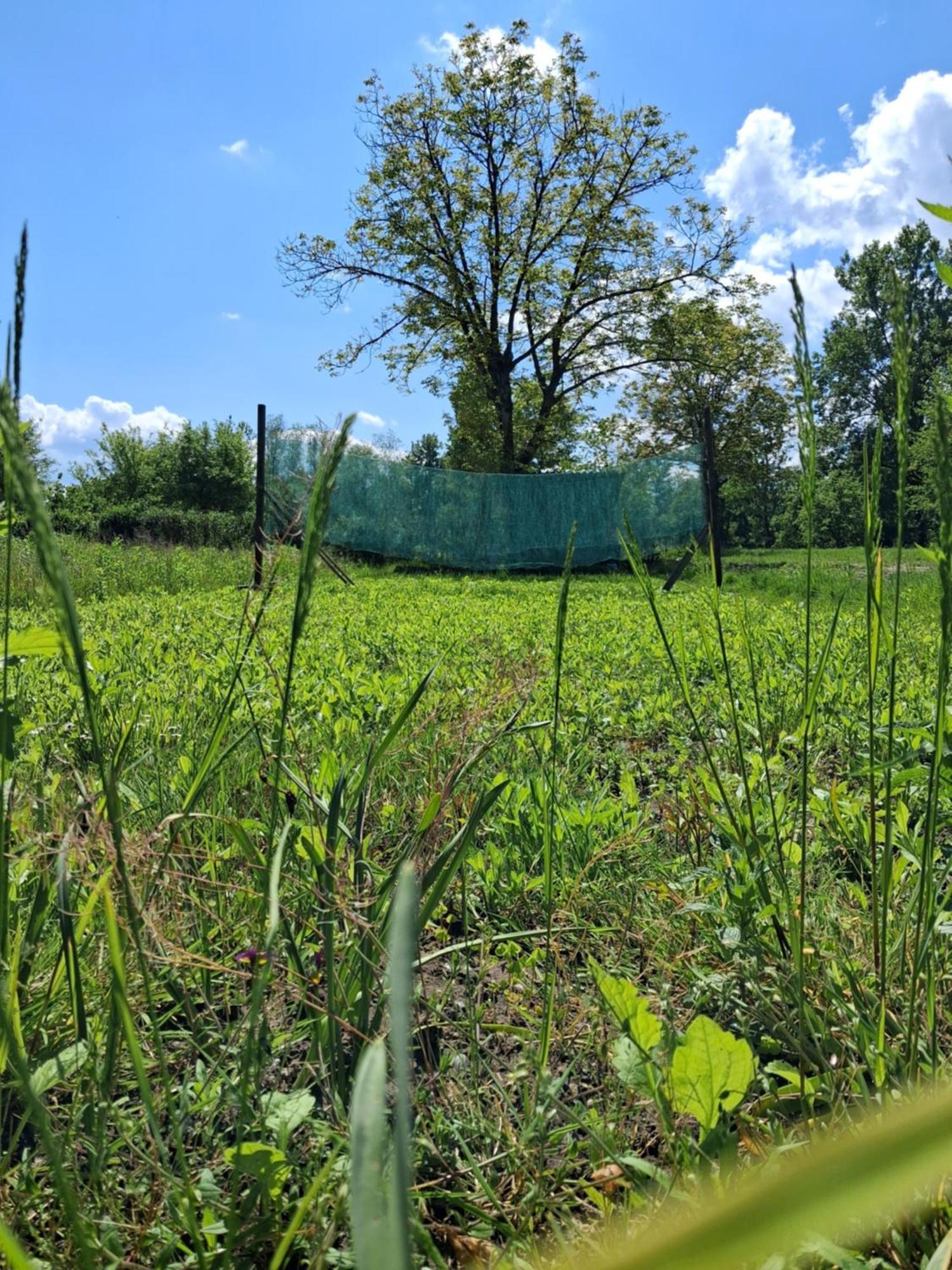Garden For Two People With Additional River Site To Put Up Your Tent Price Includes Two Bicycles For Amazing Views And Two Water Floats For Mega River Run Check My Video On Youtube By Writing To Find And Use Your In Camping *