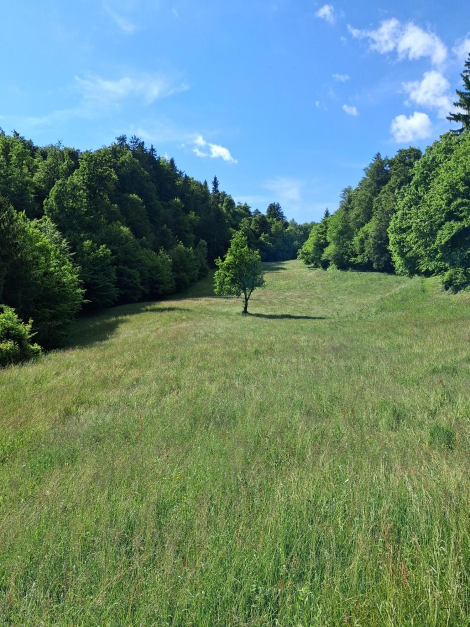 Garden For Two People With Additional River Site To Put Up Your Tent Price Includes Two Bicycles For Amazing Views And Two Water Floats For Mega River Run Check My Video On Youtube By Writing To Find And Use Your In Camping *