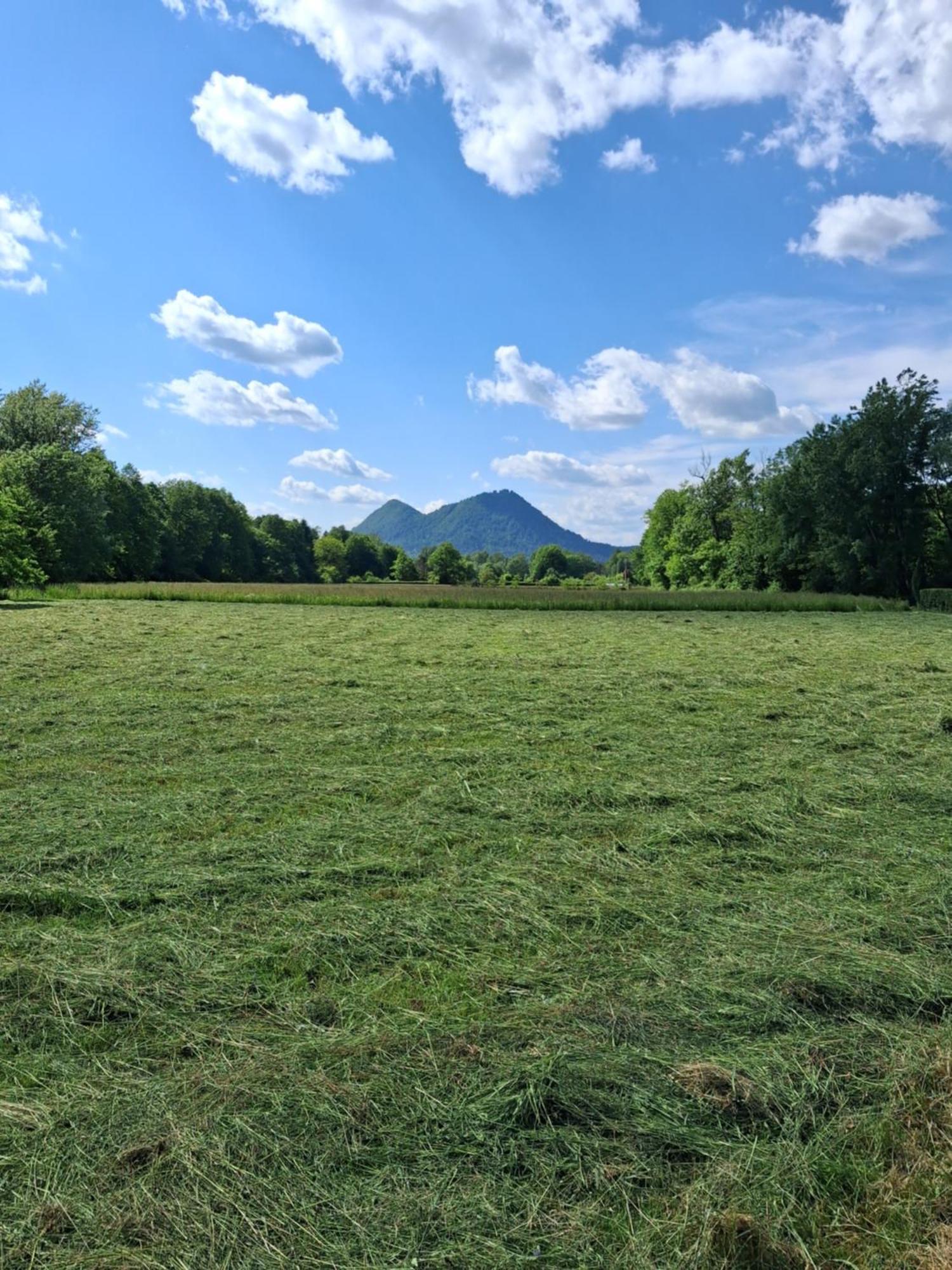 Garden For Two People With Additional River Site To Put Up Your Tent Price Includes Two Bicycles For Amazing Views And Two Water Floats For Mega River Run Check My Video On Youtube By Writing To Find And Use Your In Camping Ljubljana